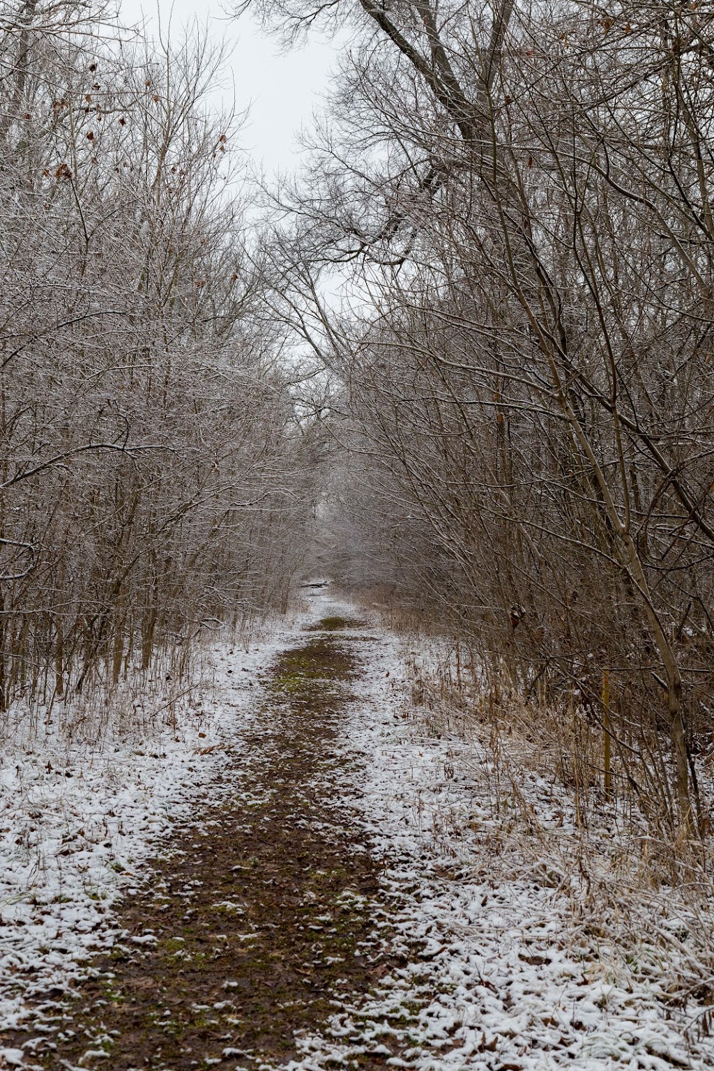 Bohm Woods Nature Preserve | Bohm School Rd, Edwardsville, IL 62025, USA | Phone: (618) 566-4451