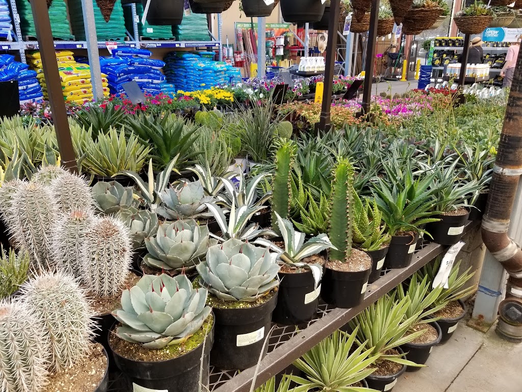 Lowes Garden Center | 2318 Northside Dr, San Diego, CA 92108, USA | Phone: (619) 584-5500