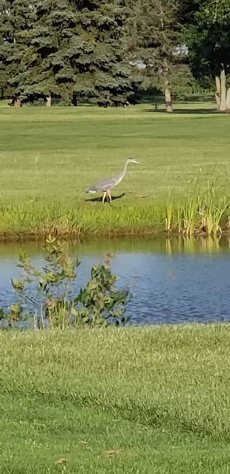Lakeland Golf Course | 3770 County Rd 23, Fostoria, OH 44830, USA | Phone: (419) 894-6440