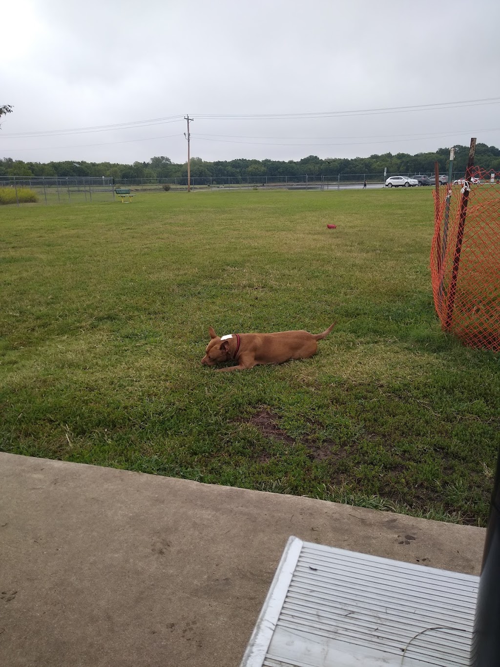 Cooper Dog Park | 2400 SE Adams Blvd, Bartlesville, OK 74006, USA | Phone: (918) 331-8031