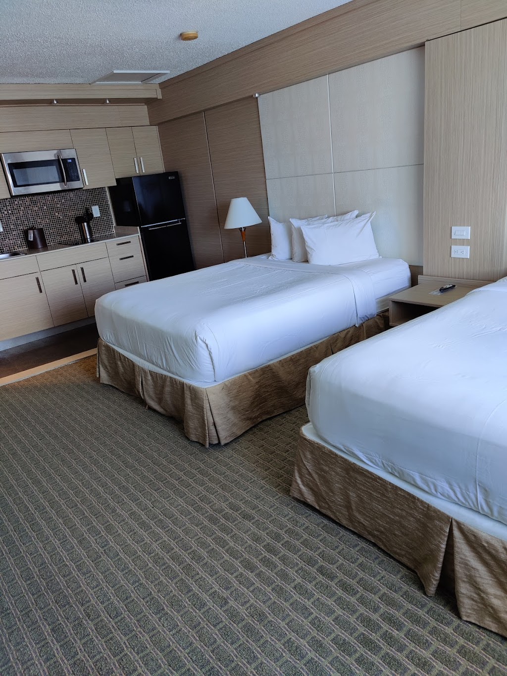Ocean Beach Palace Hotel and Suites | 4041 N Ocean Blvd, Fort Lauderdale, FL 33308, USA | Phone: (954) 565-9224