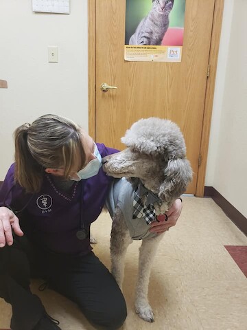 Marshall Pet Care Clinic | 701 W Main St, Marshall, WI 53559 | Phone: (608) 655-3963