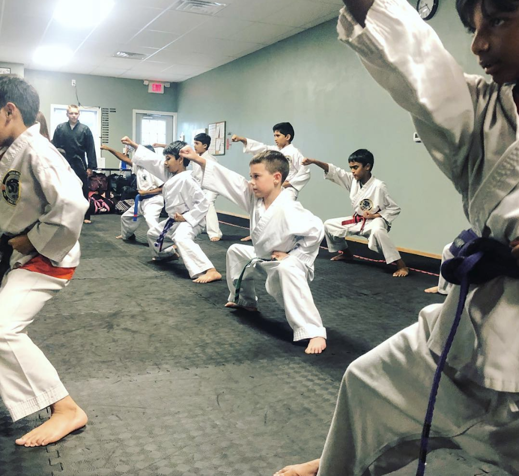 Hamilton United Martial Arts Academy | 2452 Kuser Rd Ste A, Hamilton Township, NJ 08690, USA | Phone: (609) 586-1227