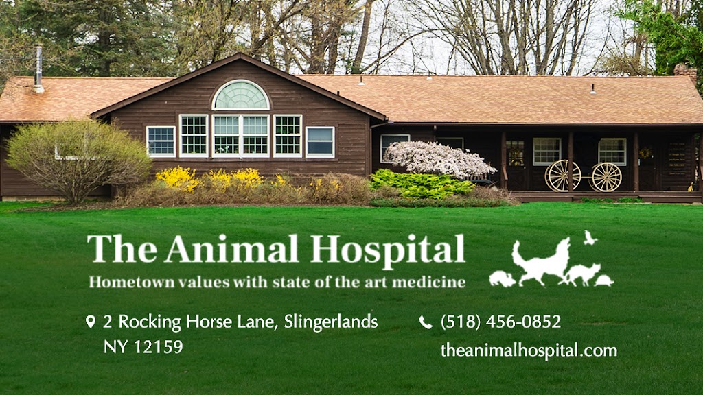 The Animal Hospital | 2 Rockinghorse Ln, Slingerlands, NY 12159, USA | Phone: (518) 456-0852
