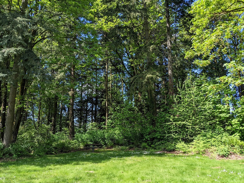 East Norway Hill Park | 11920 NE 155th St, Bothell, WA 98011, USA | Phone: (425) 806-6760