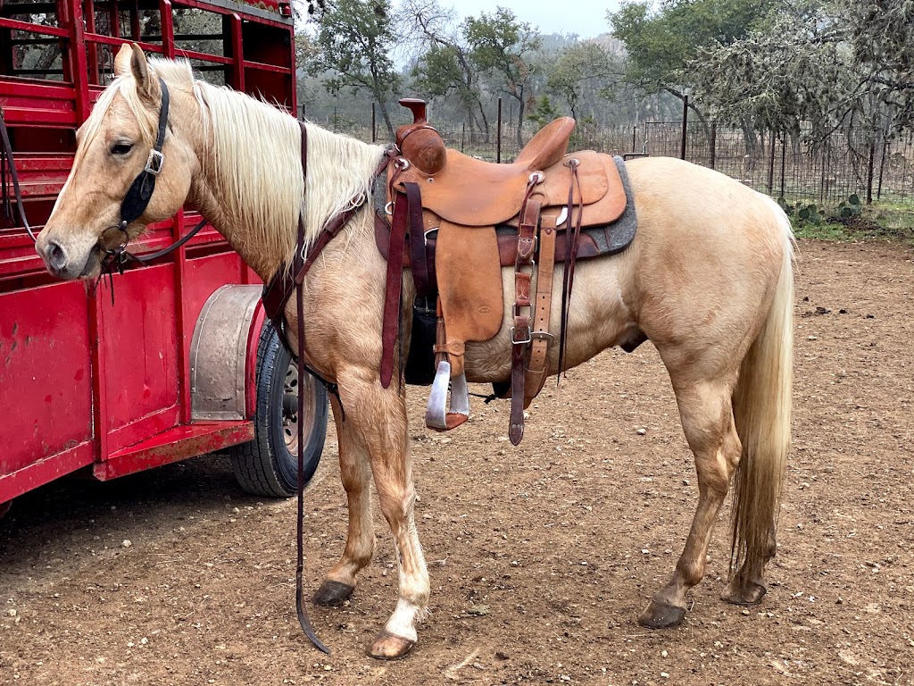 Branco Custom Saddlery | 1875 Grosenbacher Rd, San Antonio, TX 78245 | Phone: (210) 249-1403