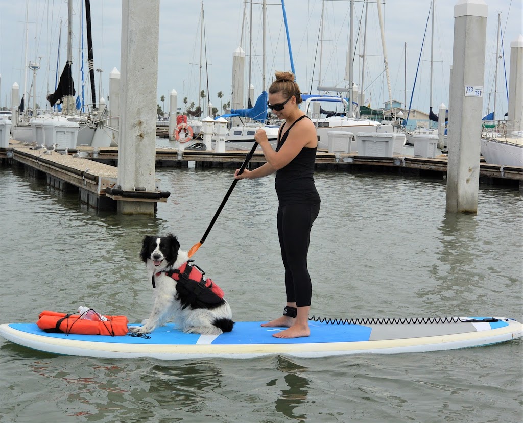 Water Dog Yoga, SUP & Barre | 98 Coopers Alley L-Head Slip T-5 27.79, -97.39, Corpus Christi, TX 78401, USA | Phone: (361) 760-1050