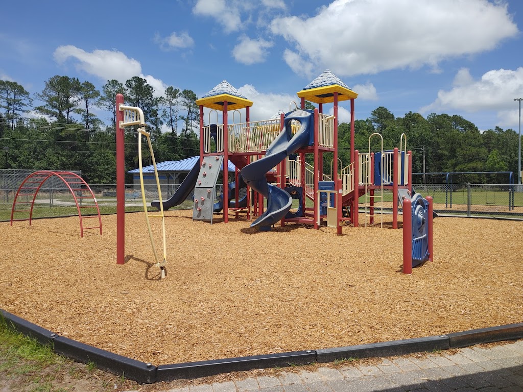 Kingsland Lion Park | Unnamed Road, Kingsland, GA 31548, USA | Phone: (912) 729-5600