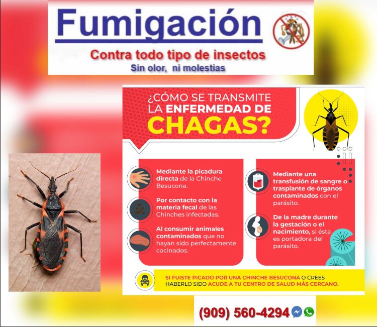 Fumigaciones Carpio | 6511 Myrtle Ct, Rancho Cucamonga, CA 91739, USA | Phone: (909) 560-4294