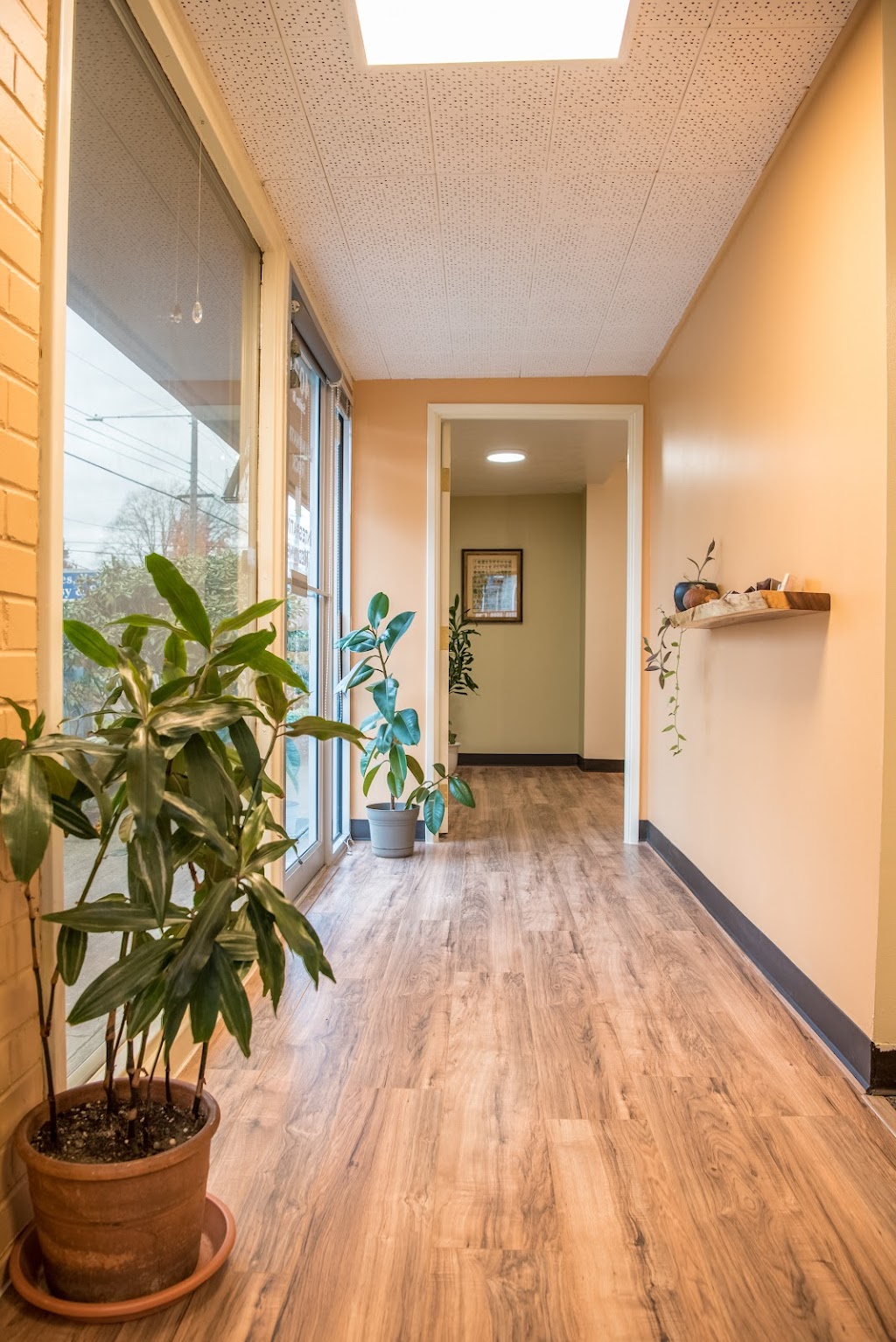 Illumination Rock Integrative Medicine | 4035 SE 52nd Ave Suite B, Portland, OR 97206 | Phone: (971) 229-2140