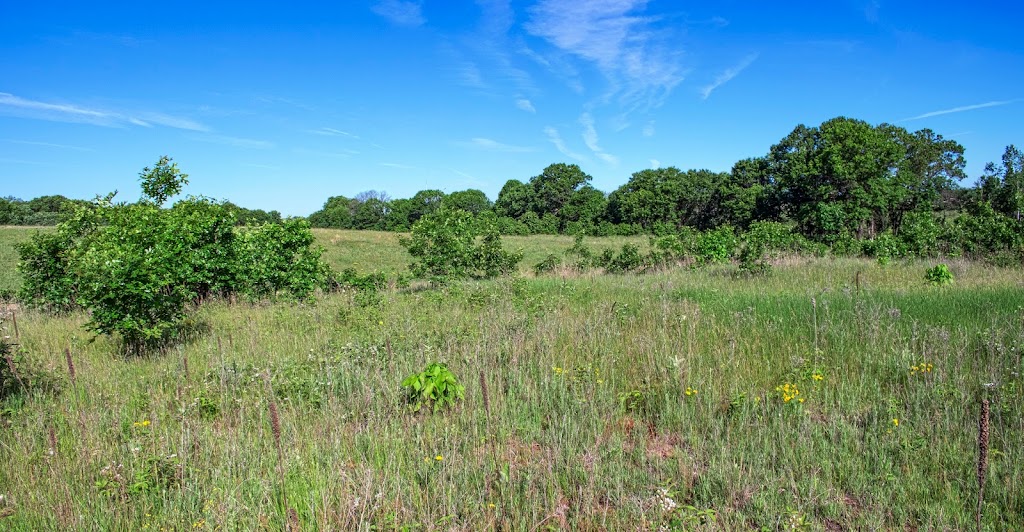 Swan Lake Sedge Meadow & Barrens State Natural Area | Pardeeville, WI 53954, USA | Phone: (888) 936-7463