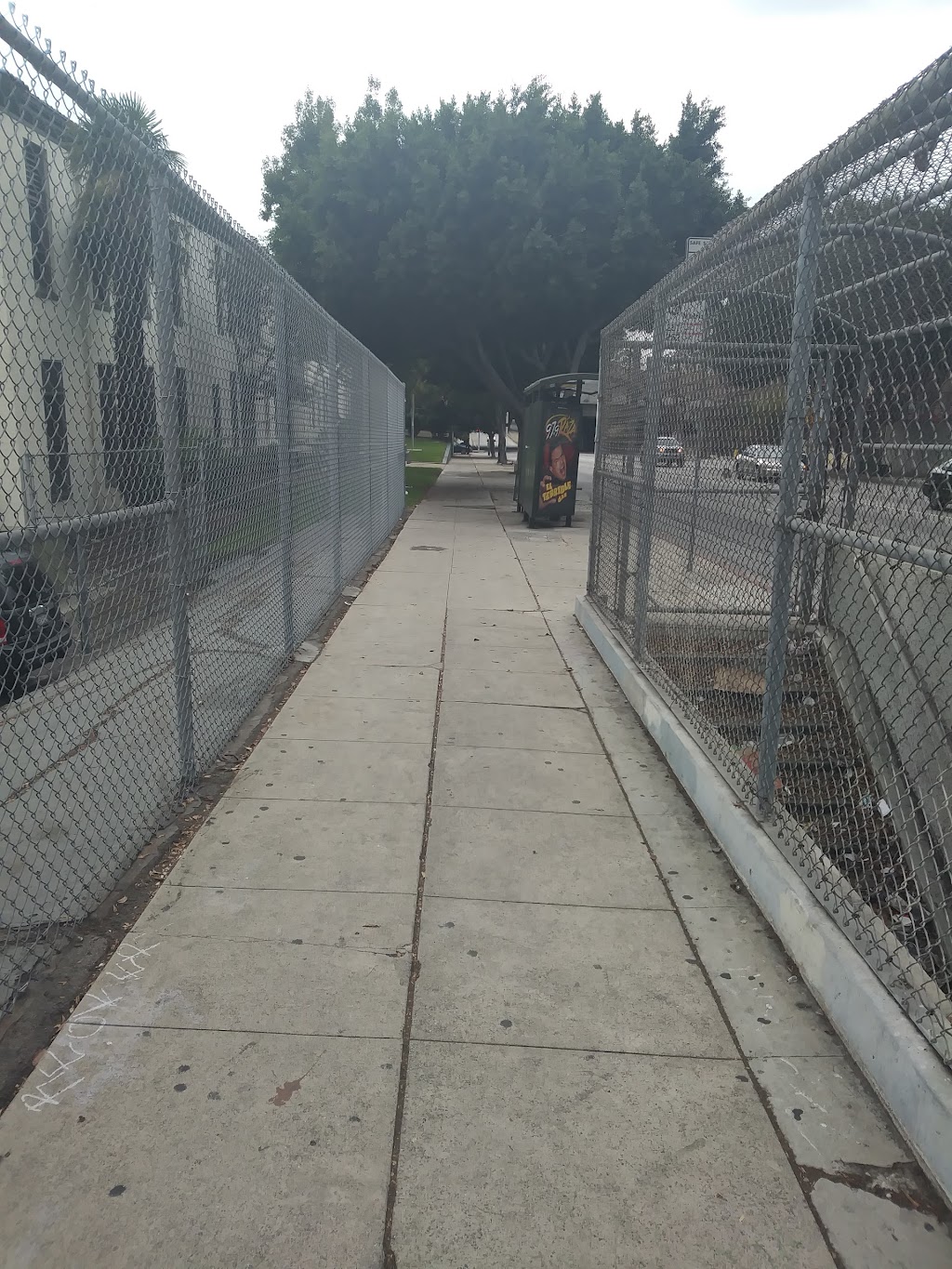 Soto Street Elementary School | 1020 S Soto St, Los Angeles, CA 90023, USA | Phone: (323) 262-6513