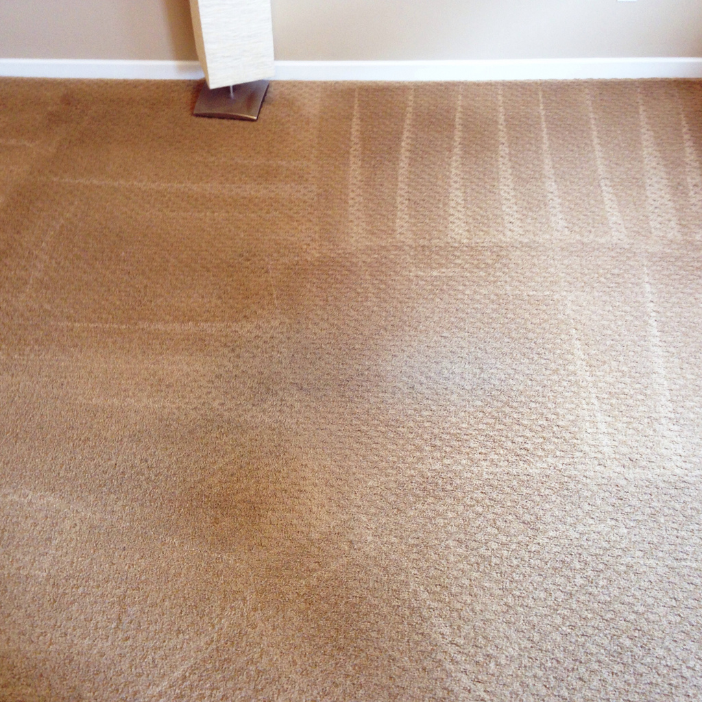 Reliance Carpet Cleaning | 11351 E Ramblewood Ave, Mesa, AZ 85212, USA | Phone: (480) 330-5800