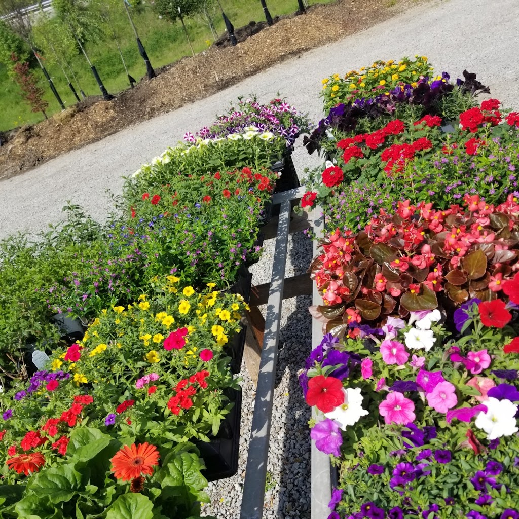 Shelby Nursery & Garden Center | 131 Mt Eden Rd, Shelbyville, KY 40065, USA | Phone: (502) 633-7870