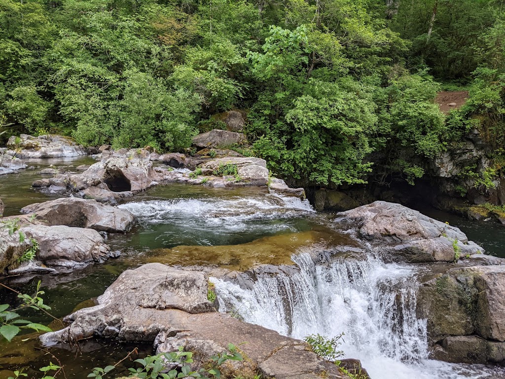 Sunset Falls Campground | 40806 NE Sunset Falls Rd, Yacolt, WA 98675, USA | Phone: (509) 395-3400