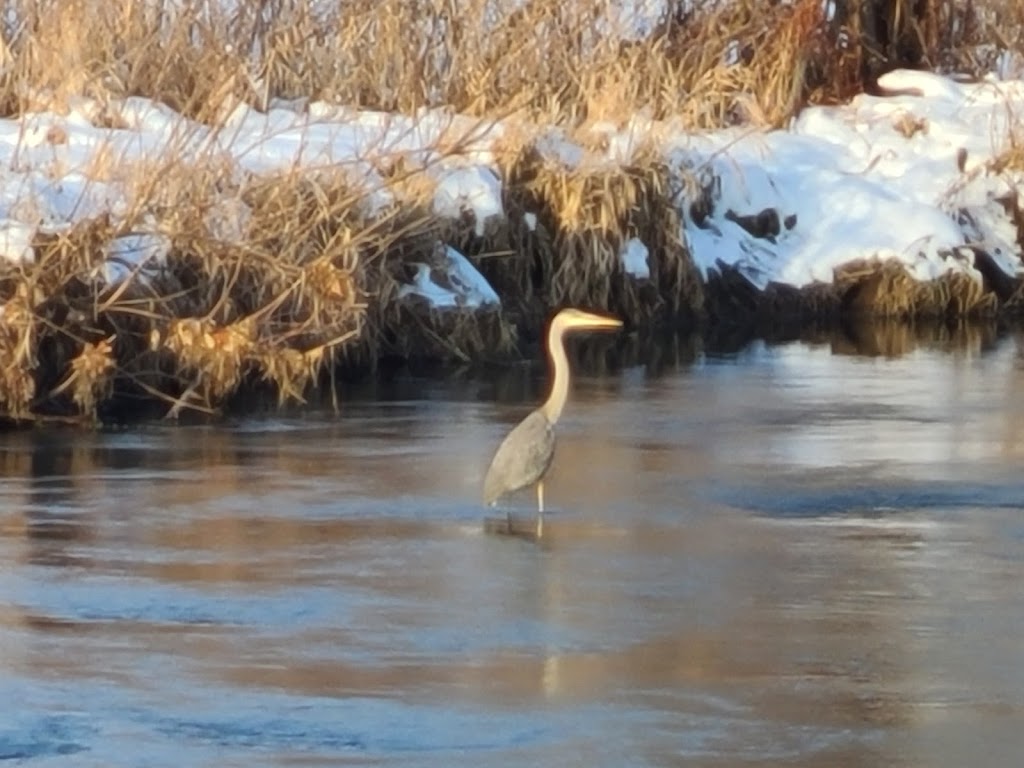 H.M. Zander Community Nature Park | Cross Plains, WI 53528, USA | Phone: (608) 798-3241