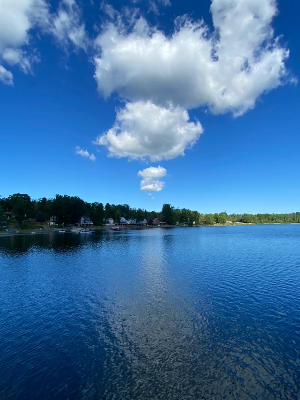 Thompsons Lake Campground | 68 Thompsons Lake Rd, East Berne, NY 12059, USA | Phone: (518) 872-1674