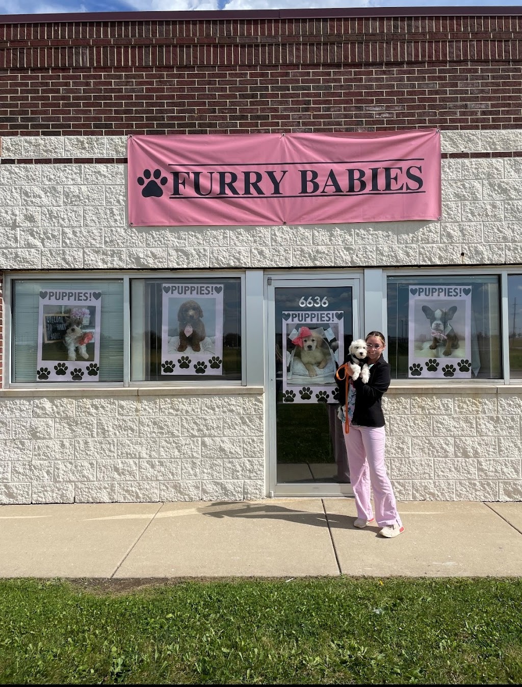 Furry Babies Portage | 6636 US-6, Portage, IN 46368, USA | Phone: (219) 734-6165