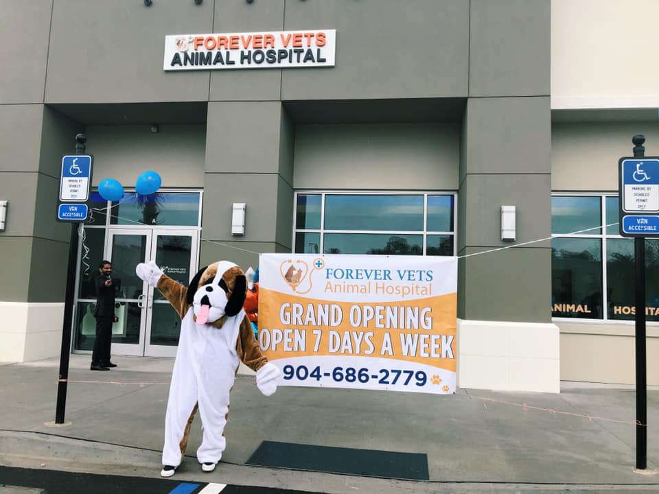 Forever Vets Animal Hospital at Nocatee | 80 Pine Lake Dr Ste A, Ponte Vedra Beach, FL 32081, USA | Phone: (904) 686-2779