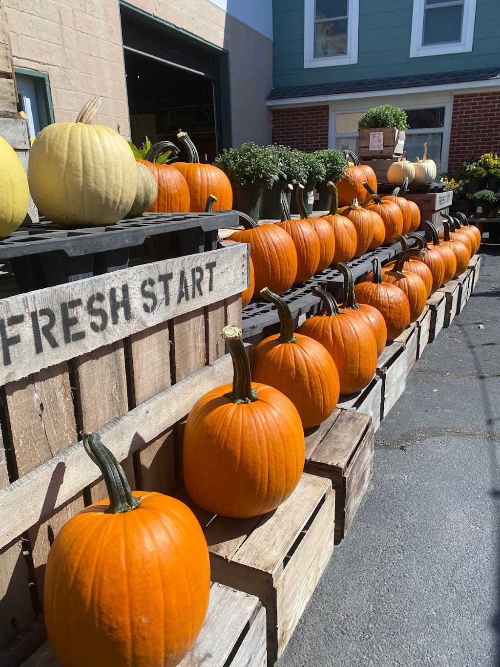 Fresh Start Food and Garden | 21318 E Sharp St, Rock Hall, MD 21661, USA | Phone: (410) 639-4102