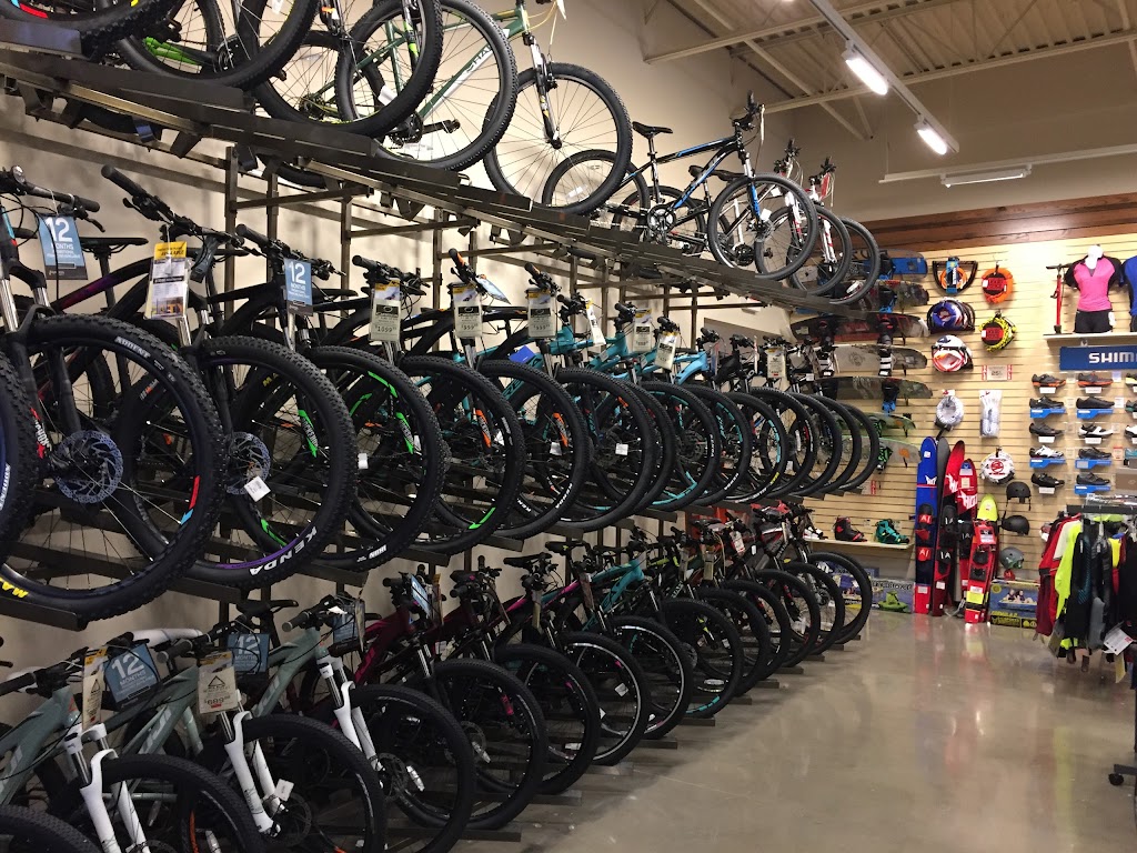 Sun & Ski Sports Bike Shop | 2329 Porter Creek Dr, Fort Worth, TX 76177, USA | Phone: (817) 423-6181