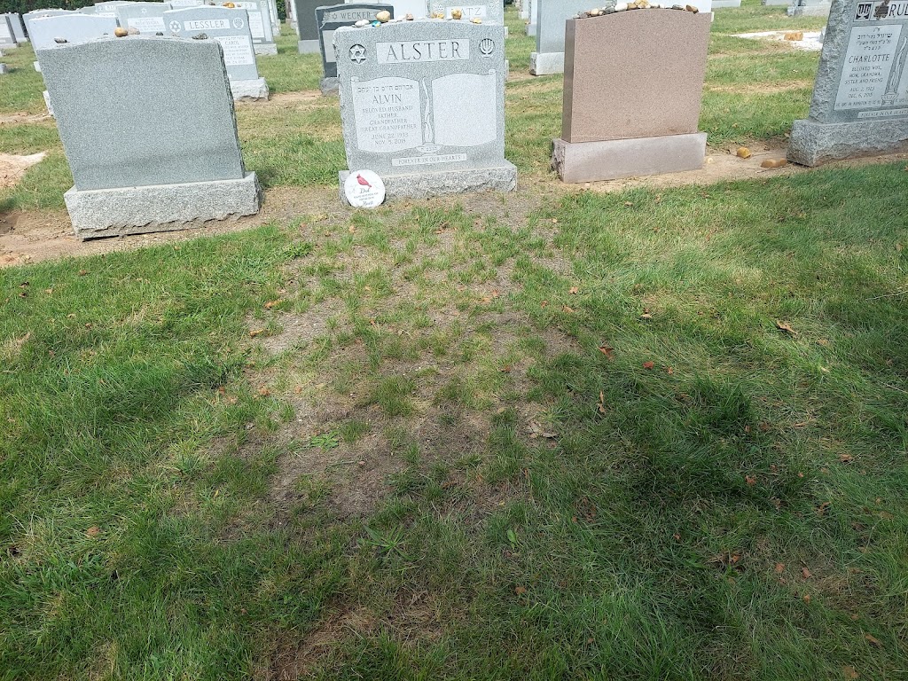 Beth Israel Cemetery | 1098 Woodbridge Center Dr, Woodbridge Township, NJ 07095, USA | Phone: (732) 790-8842