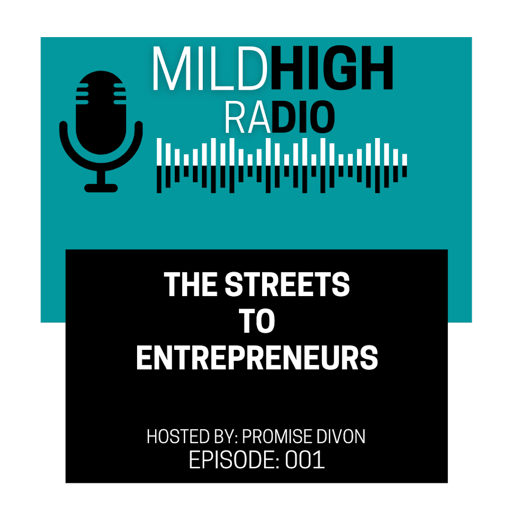 MHE Entertainment LLC | 158 Orange St, Albany, NY 12206, USA | Phone: (347) 227-2427