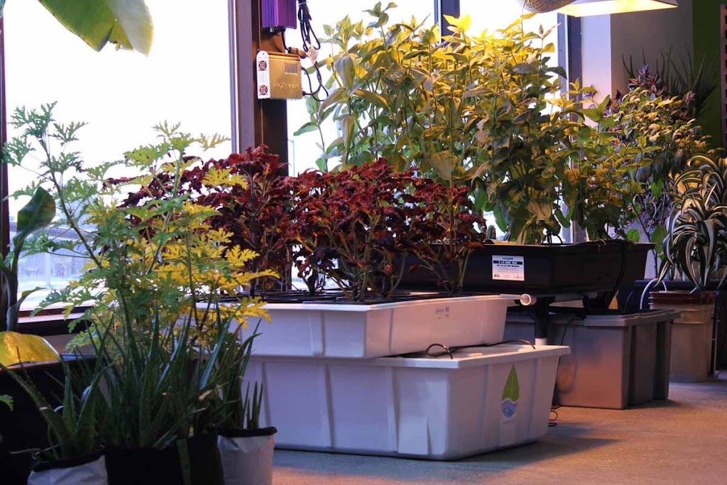 Green Zone Hydroponics | 2928 Southwestern Blvd, Orchard Park, NY 14127, USA | Phone: (716) 677-9663
