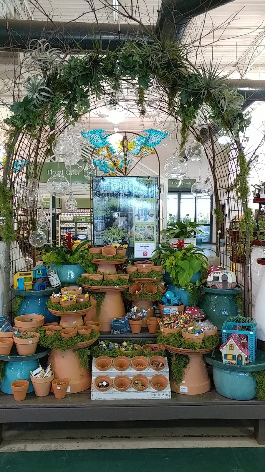 Pike Nurseries | 2475 Towne Lake Pkwy, Woodstock, GA 30189, USA | Phone: (770) 926-3252