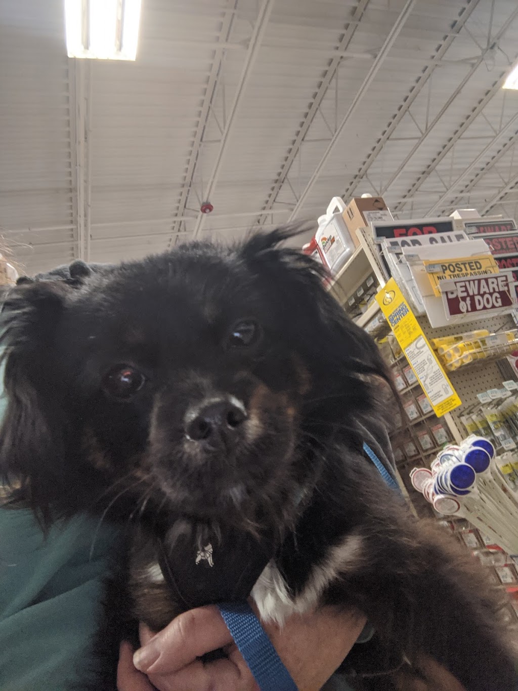 ProtectMyPet Vaccinations Clinic at Tractor Supply Co. | 115 Greystone Power Blvd, Dallas, GA 30157, USA | Phone: (770) 443-3352