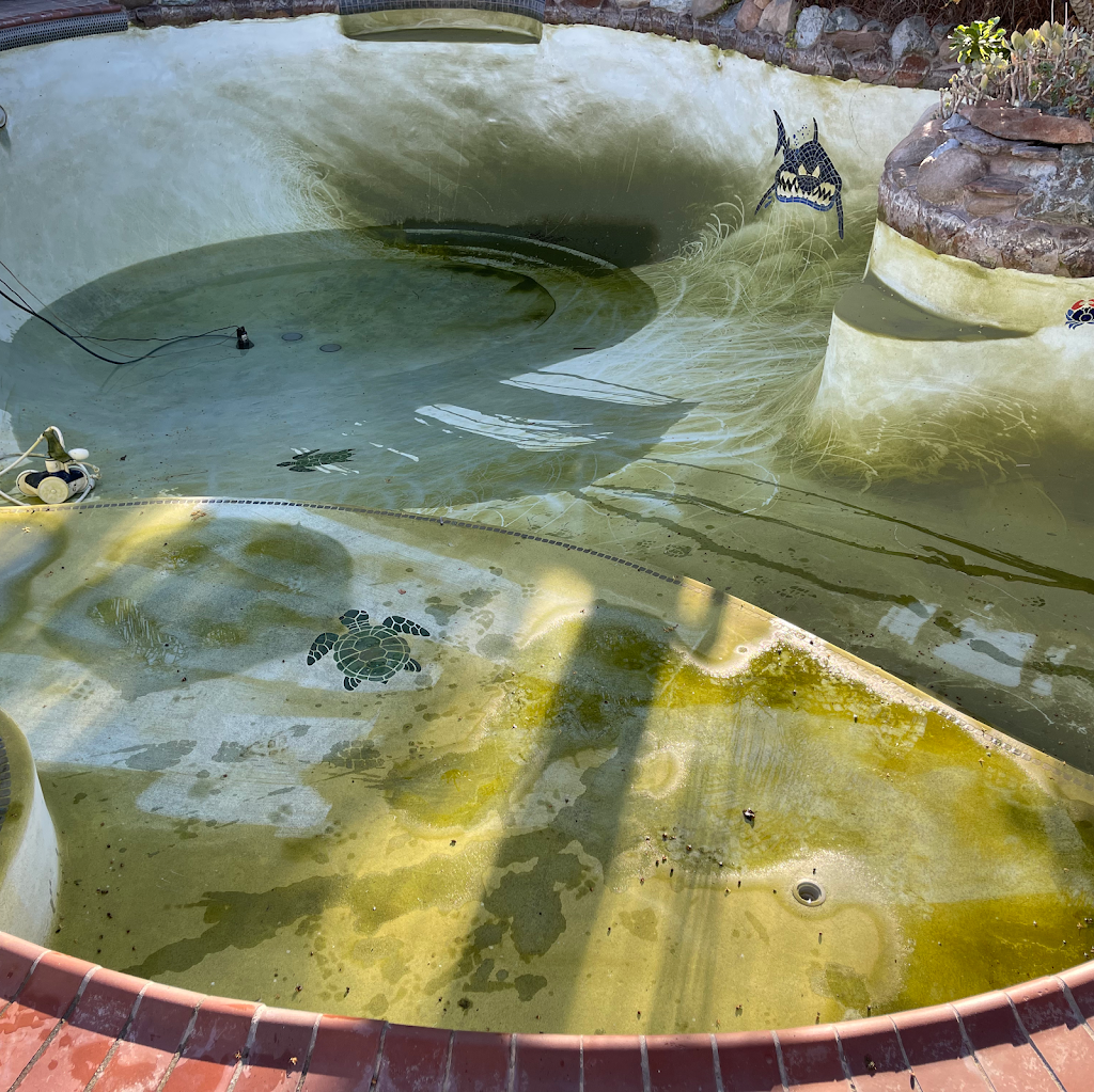 Prime Pool Service | 8880 Almendra Way, Tracy, CA 95304, USA | Phone: (209) 650-1982