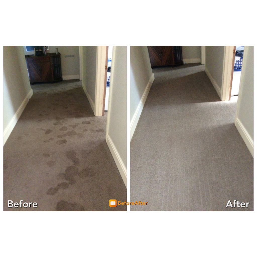 Gibbs Specialized Cleaning Services | 11863 Josephine Dr, Mokena, IL 60448, USA | Phone: (708) 968-9198