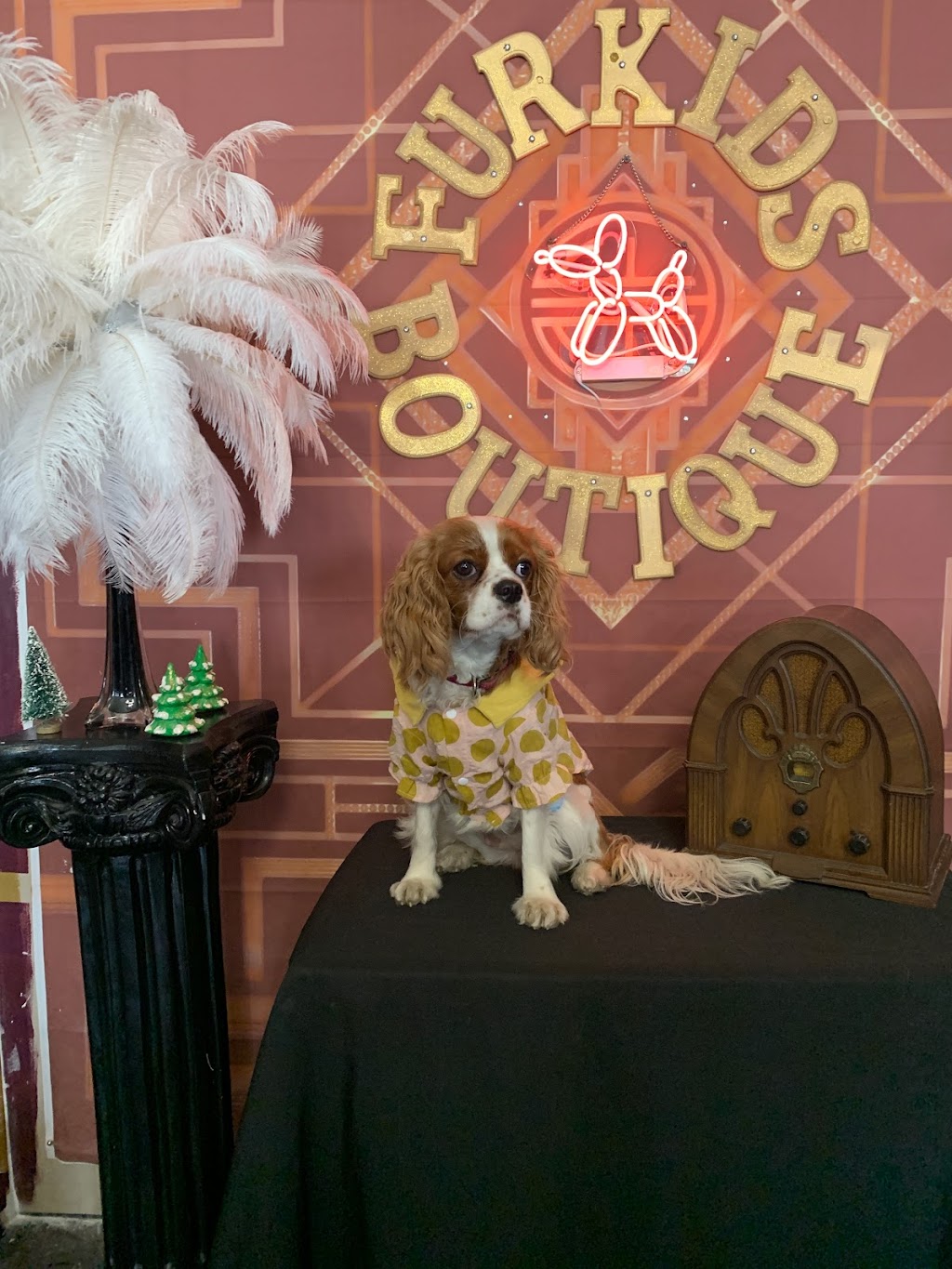 FurKids Boutique | 11862 S Prairie Ave Unit A, Hawthorne, CA 90250, USA | Phone: (310) 651-0267 FurKids Boutique | 11862 S Prairie Ave Unit A, Hawthorne, CA 90250, USA | Phone: (310) 651-0267