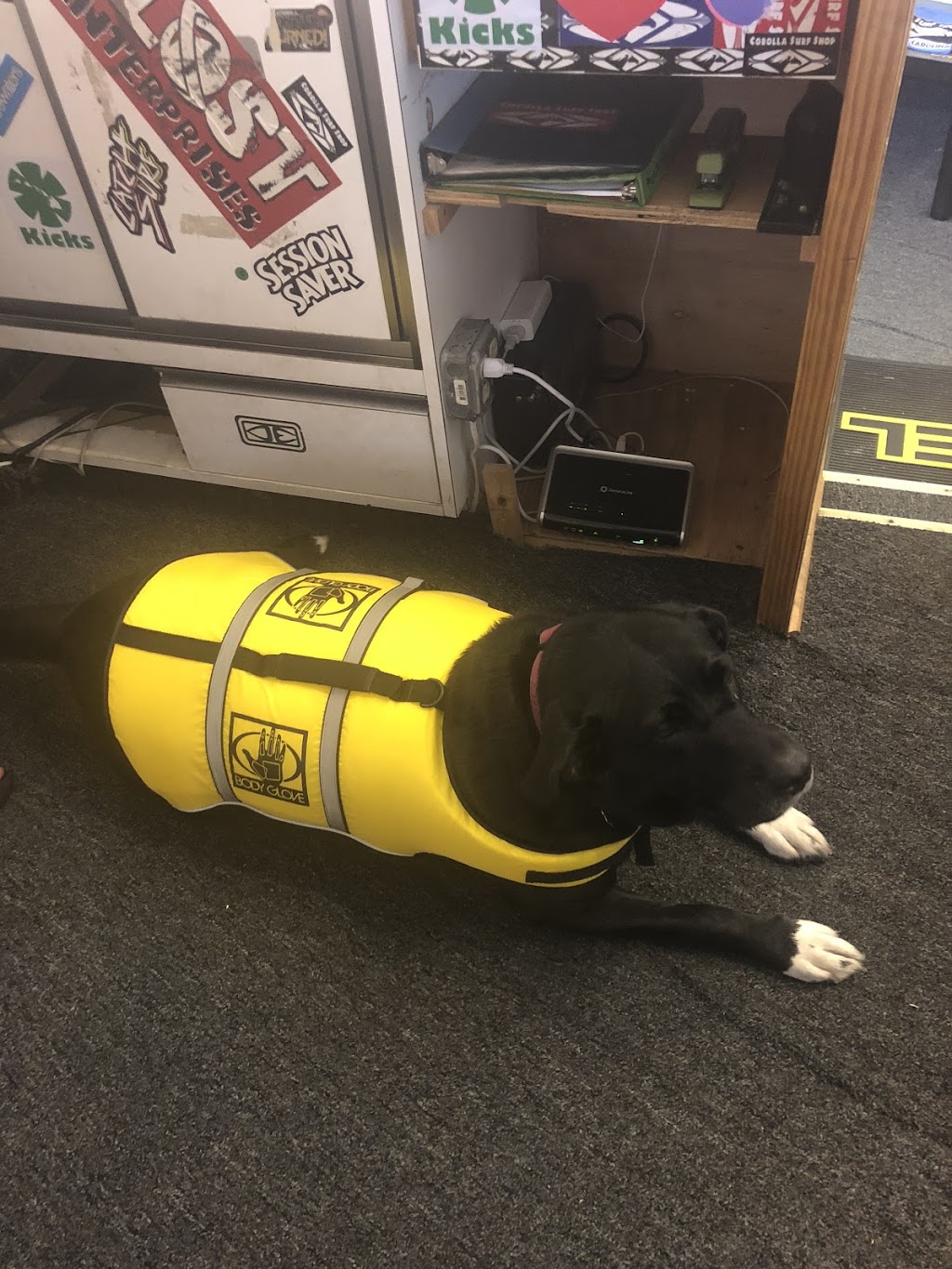 Corolla Surf Shop | 807 Ocean Trail, Corolla, NC 27927, USA | Phone: (252) 453-9283