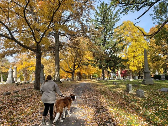 Painesville Evergreen Cemetery | 501 Main St, Painesville, OH 44077, USA | Phone: (440) 392-3727