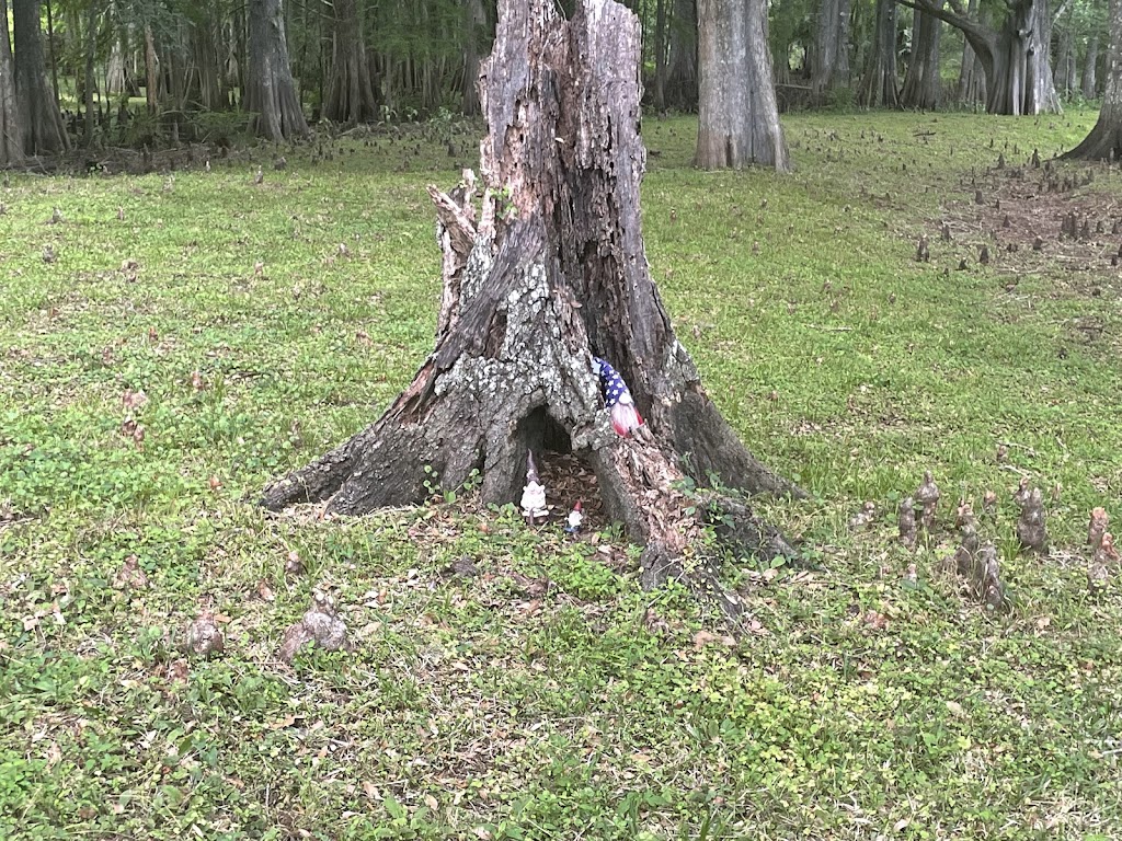 Homebound RV Parks | 4602 Co Rd 673 #1554, Bushnell, FL 33513, USA | Phone: (352) 793-1333