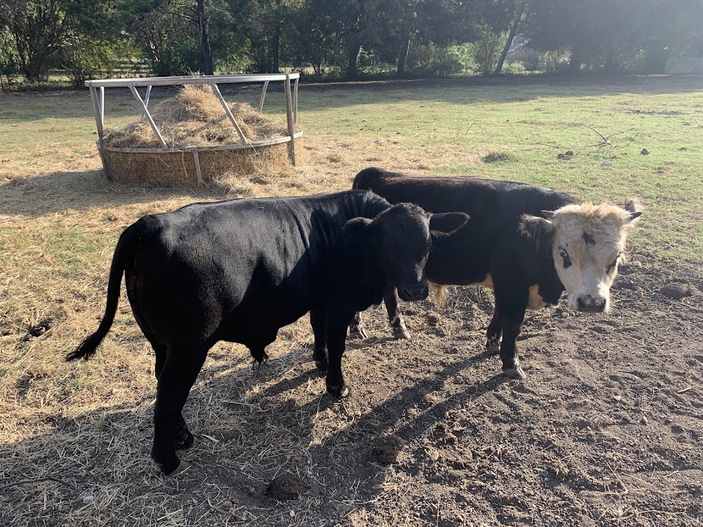 DCT Farms | 905 S Cockrell Hill Rd, Ovilla, TX 75154, USA | Phone: (972) 765-4269