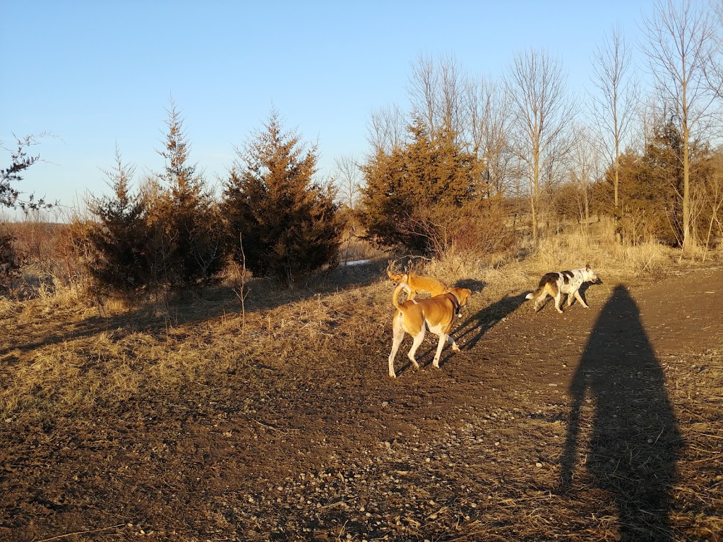 Lake Sarah Dog Park | 6670 W Lake Sarah Dr, Rockford, MN 55373, USA | Phone: (763) 694-7860