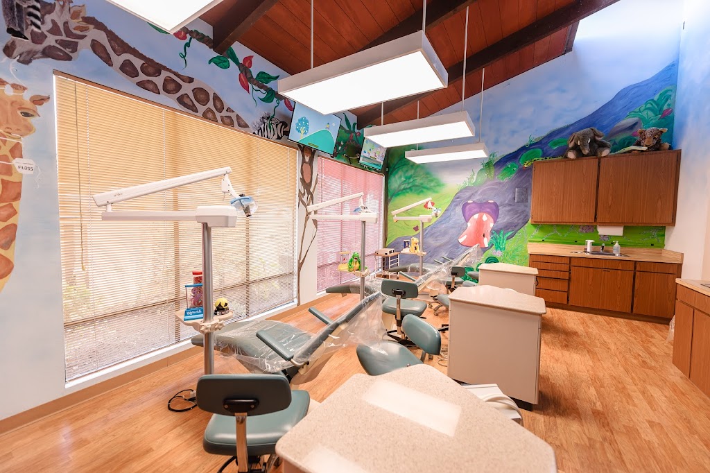 Little Koala Pediatric Dentistry | 4138 Dyer St Suite #4, Union City, CA 94587, USA | Phone: (510) 489-8808