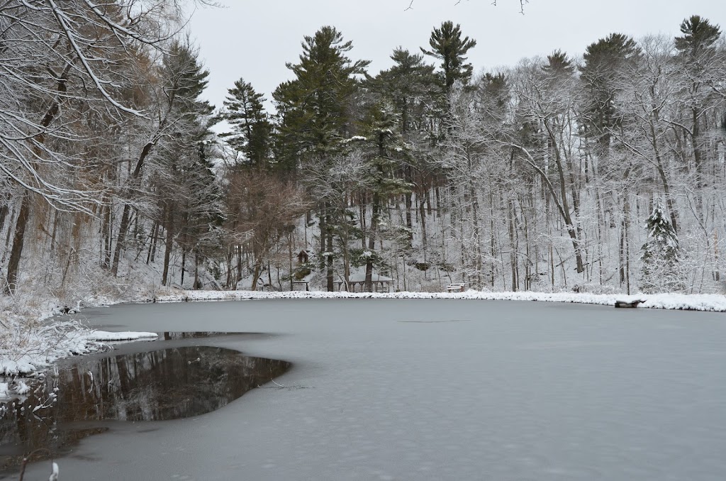 Durward’s Glen Retreat & Conference Center | W11876 McLeisch Rd, Baraboo, WI 53913, USA | Phone: (608) 356-8113