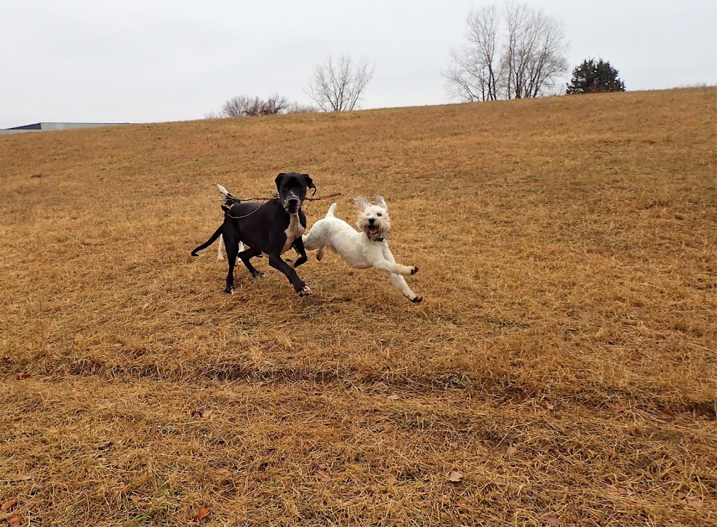 Bloomington Off-leash Dog Park | Nesbitt Ave S & West 110th Street, Bloomington, MN 55438, USA | Phone: (952) 563-8877