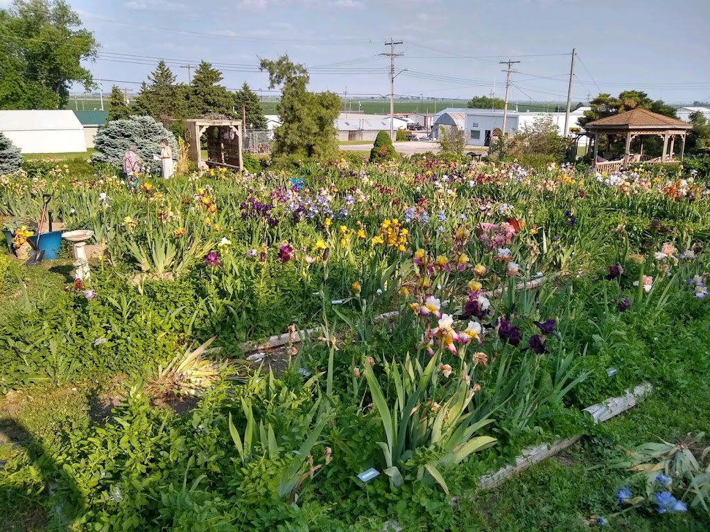 Jonis Dance-In-The-Wind Iris Garden | 810 S 14th St, Tekamah, NE 68061, USA | Phone: (402) 374-2621