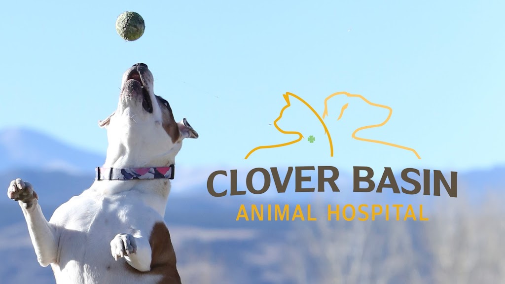 Clover Basin Animal Hospital | 1425 S Airport Rd Suite 102, Longmont, CO 80503, USA | Phone: (720) 600-2450