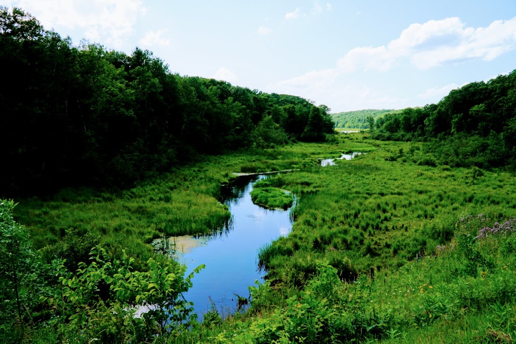 Tunnel Channel Woods | 100th St, Frederic, WI 54837, USA | Phone: (888) 936-7463