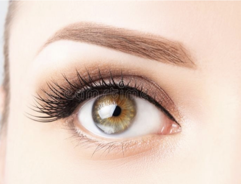 Ariava Brows & Beauty | 231 N Northwest Hwy, Park Ridge, IL 60068 | Phone: (773) 942-6336