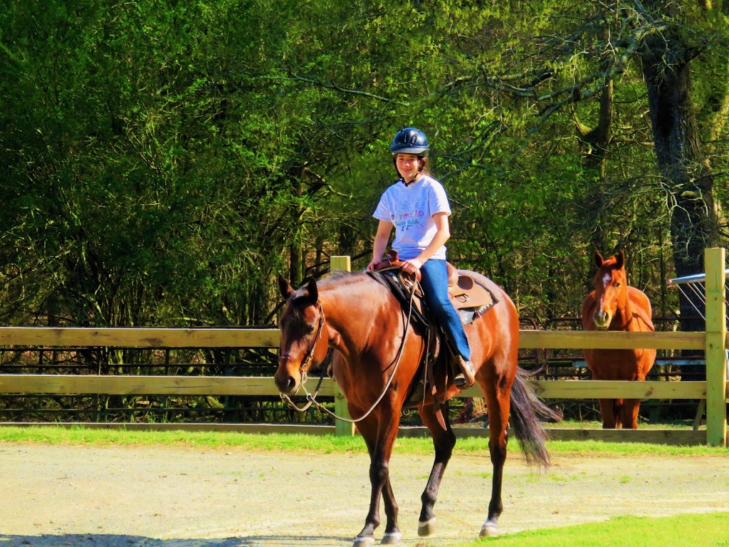 Montross Quarter Horses, Inc. | 9000 Dodsons Xrds #7677, Chapel Hill, NC 27516, USA | Phone: (919) 370-0120