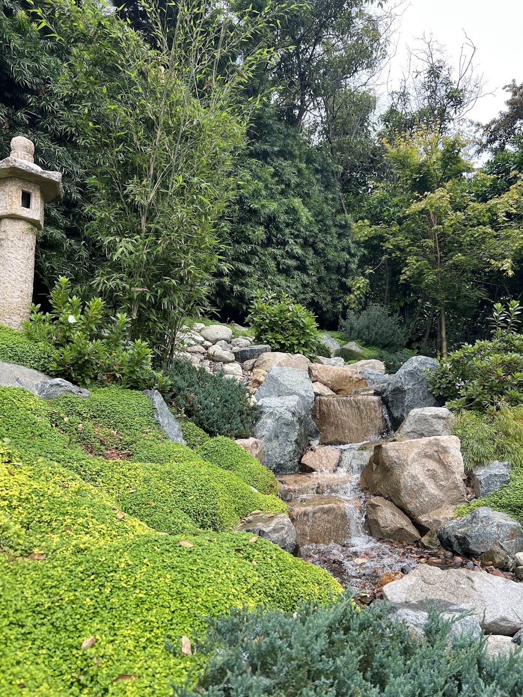 Creative Zen Garden | 1405 San Marino Ave, San Marino, CA 91108, USA | Phone: (626) 818-8527