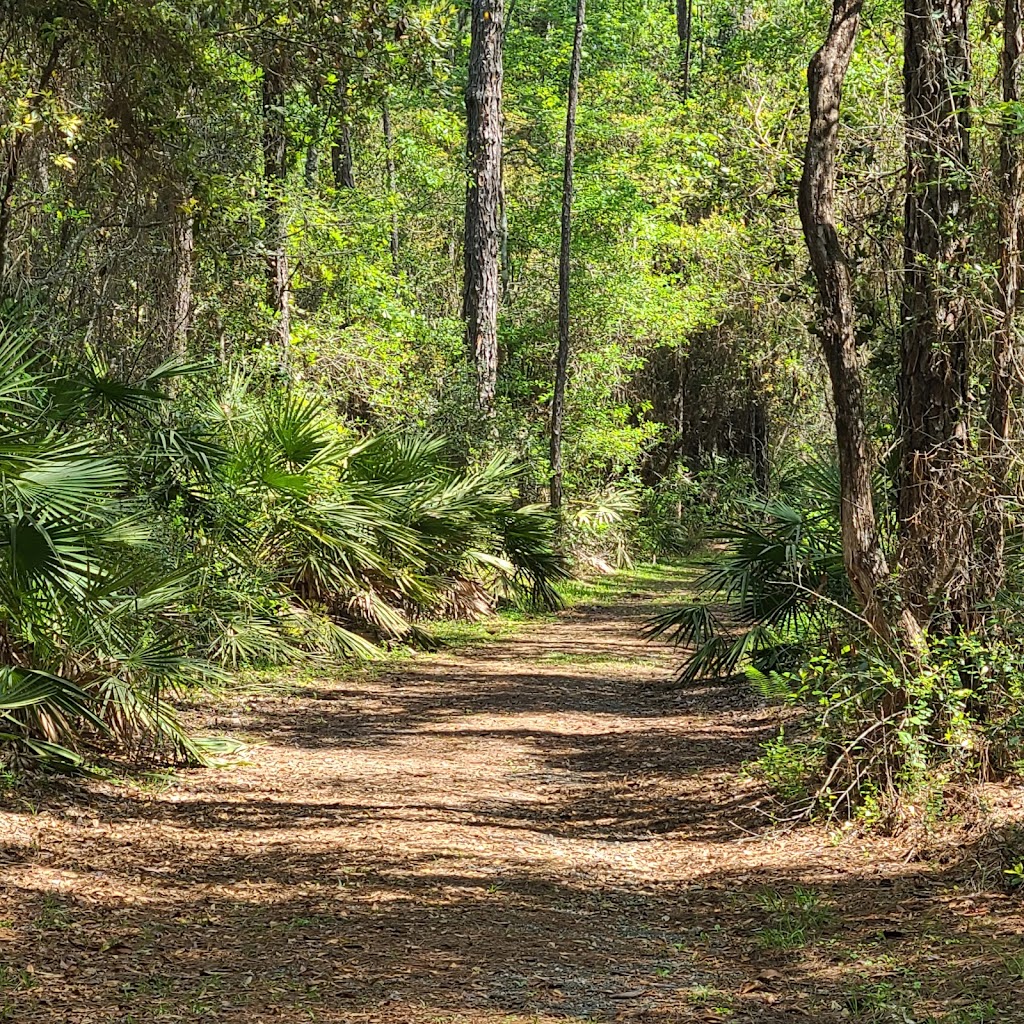 Black Creek Ravines Conservation Area | 5703 Green Rd, Middleburg, FL 32068, USA | Phone: (386) 329-4404