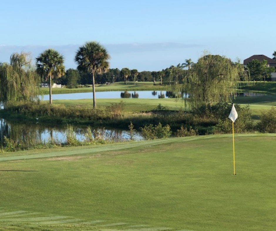 Black Bear Golf Club | 24505 Calusa Blvd, Eustis, FL 32736, USA | Phone: (352) 357-4732