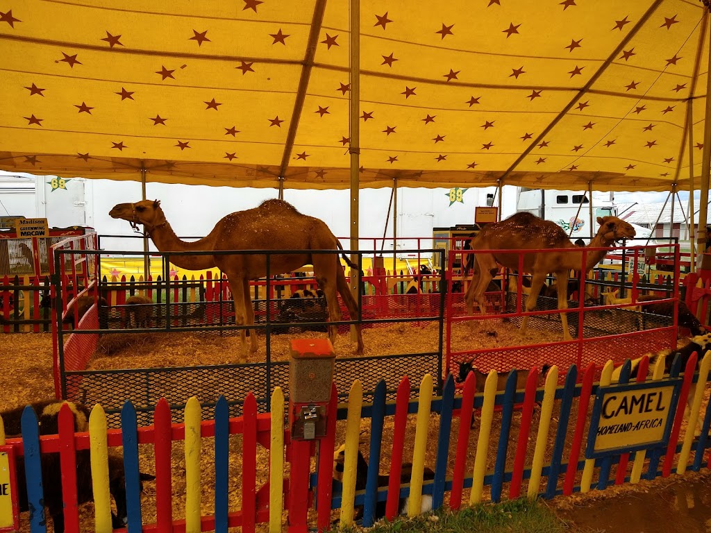 Altamont Fair | New York 146 &, Arlington St, Guilderland, NY 12009, USA | Phone: (518) 861-6671